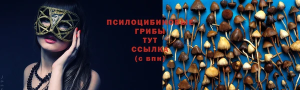 PSILOCYBIN Абаза