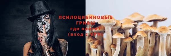 PSILOCYBIN Абаза