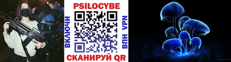 Псилоцибиновые грибы Cubensis  сколько стоит  Старый Крым 